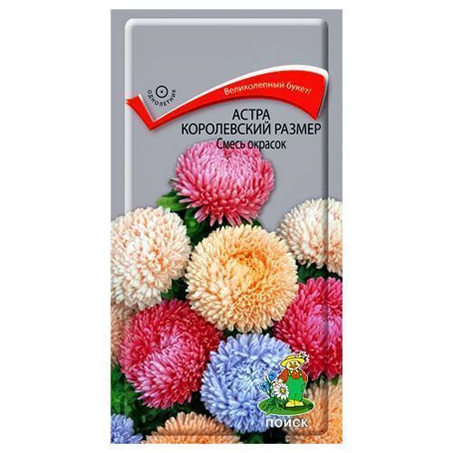 ����  ����� ����������� ������, ����� ������� �����, ������ �� 21 ���