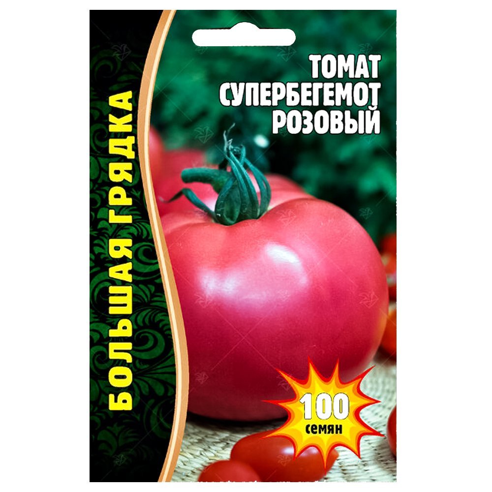 ����  ����� ������������ ������� ������ ������, ������ �� 63 ���