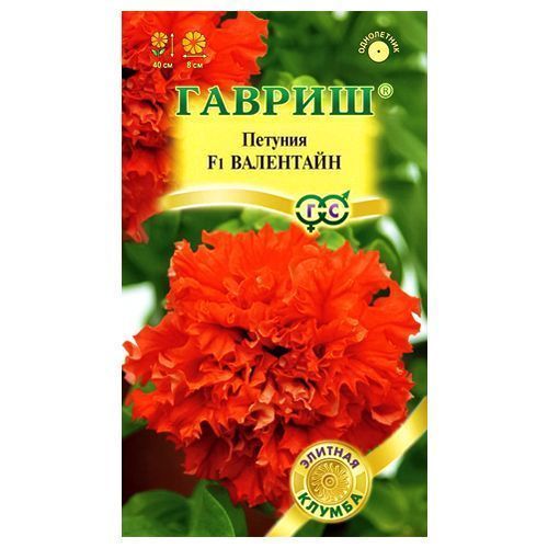 ����  ������� ��������������� �������� ��������� F1 ������, ������ �� 60 ���