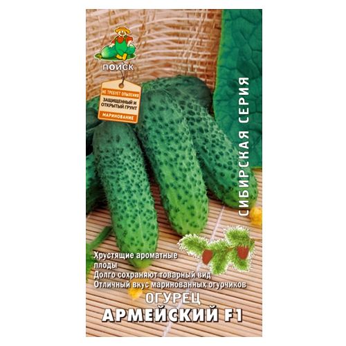 ����  ������ ��������� F1 �����, ������ �� 10 ���