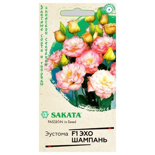 ����  ������� ��� ������� F1 ������, ������ �� 60 ���