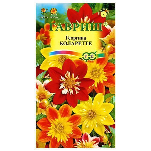 ����  �������� ���������, ����� ������� ������, ������ �� 24 ���