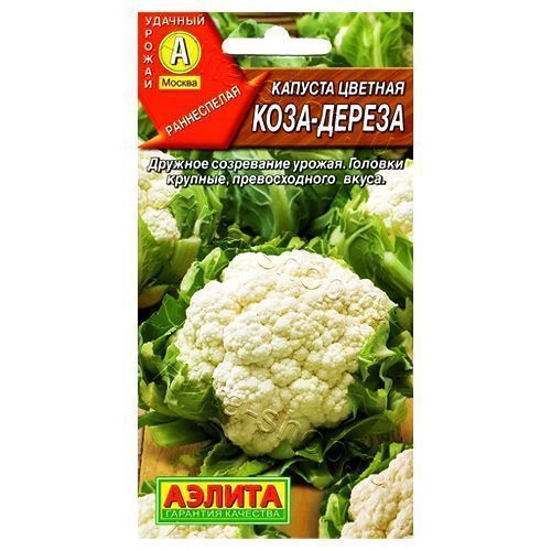 ����  ������� ������� ����-������ ������, ������ �� 24 ���