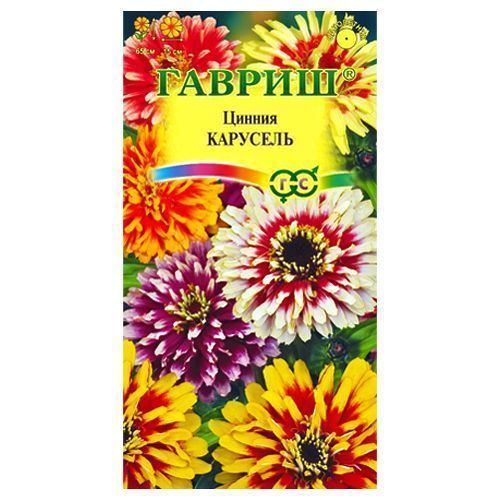 ����  ������ ��������, ����� ������� ������, ������ �� 24 ���