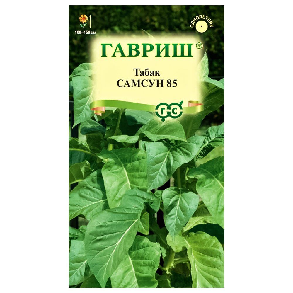 ����  ����� ����������� ������ 85 ������, ������ �� 24 ���