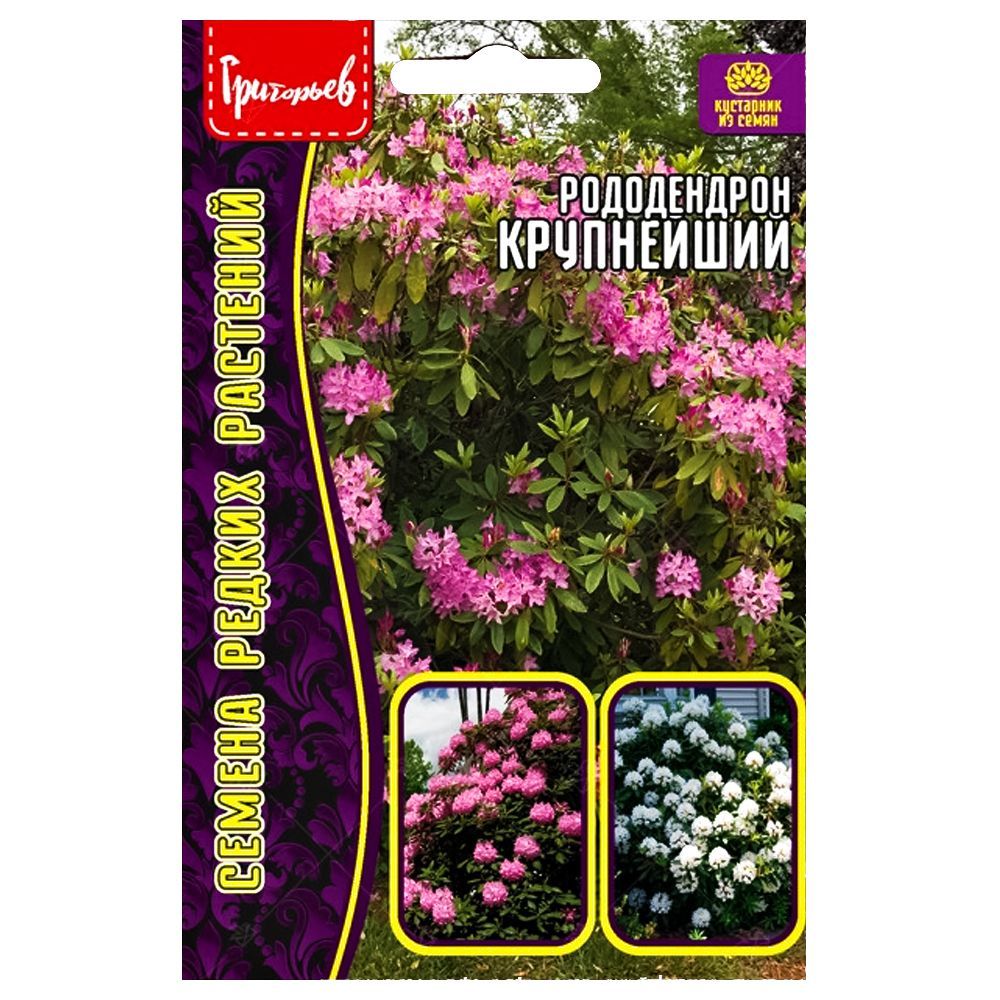 ����  ����������� ���������� ������ ������, ������ �� 63 ���