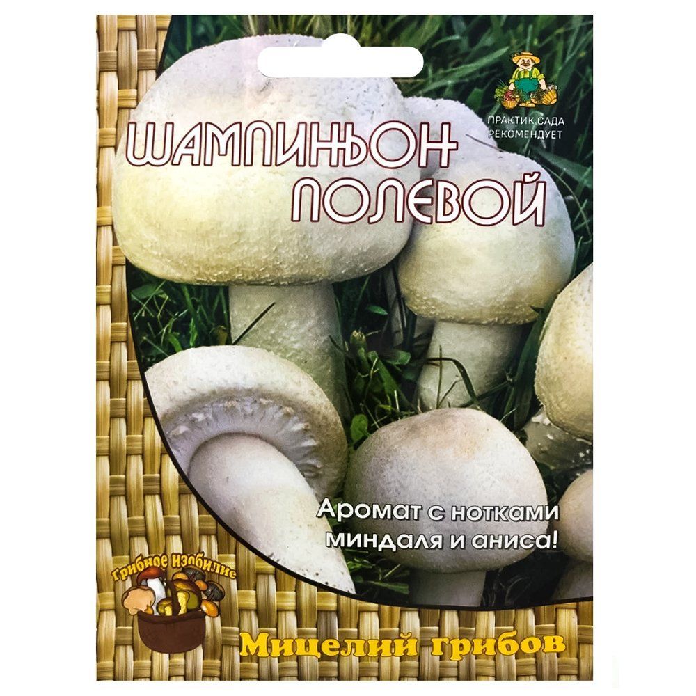 ����  ��������� ������� �����, ������ �� 196 ���