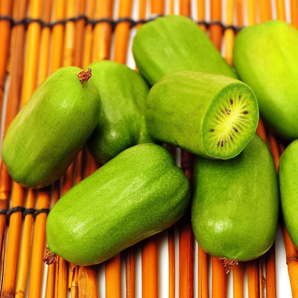 ����  ��������� ������ �����������, ������ �� 632 ���