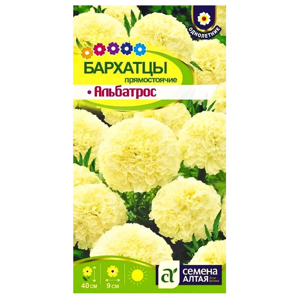 ����  �������� ������������ ��������� ������ �����, ������ �� 49 ���