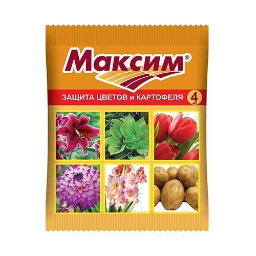 ����  ������, �������� �� �������� �������� 4 ��, ������ �� 42 ���