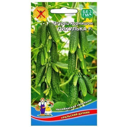 ����  ������ �������� �������� F1 ��������� ������, ������ �� 56 ���