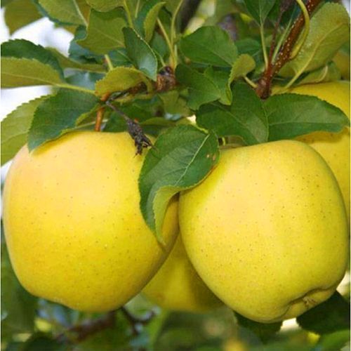 ����  ������ ���� ���, ������ �� 296 ���