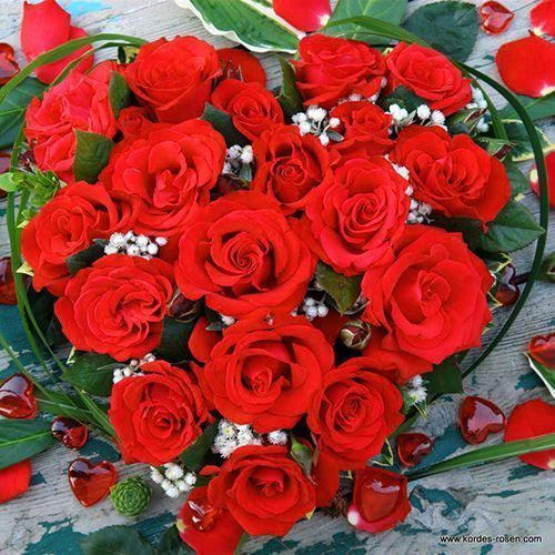 ����  ���� �����-��������� ����� ����� �����, ������ �� 423 ���