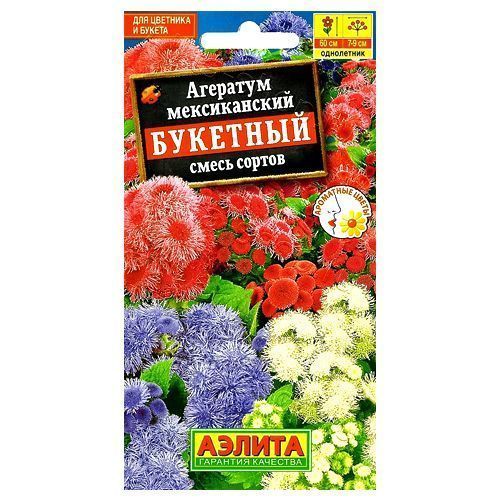 ����  �������� ��������, ����� ������� ������, ������ �� 40 ���