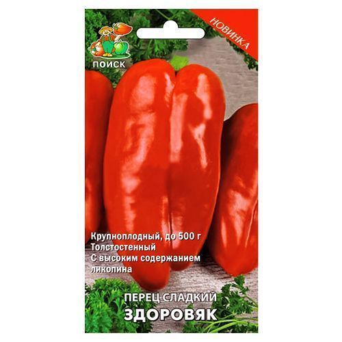 ����  ����� ������� �������� �����, ������ �� 28 ���