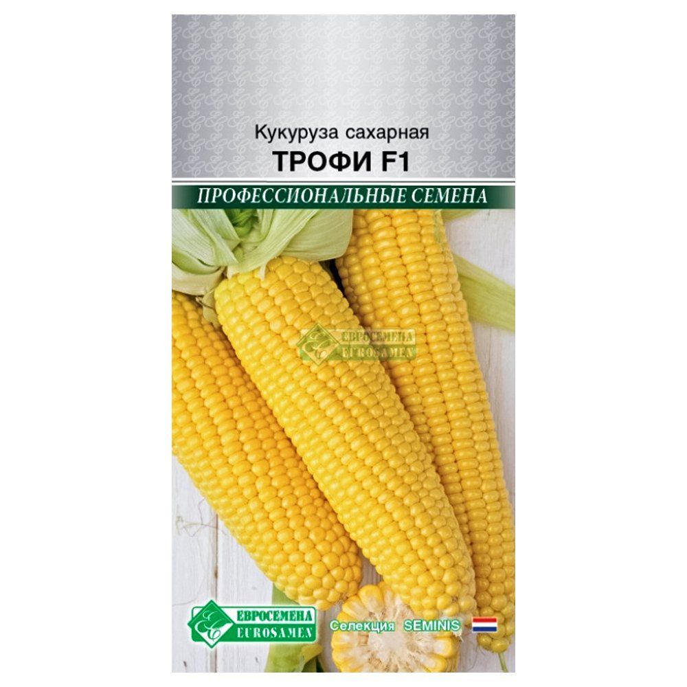 ����  �������� ����� F1 ����������, ������ �� 20 ���