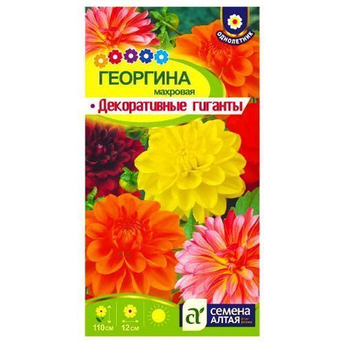 ����  �������� ������������ �������, ����� ������� ������ �����, ������ �� 42 ���