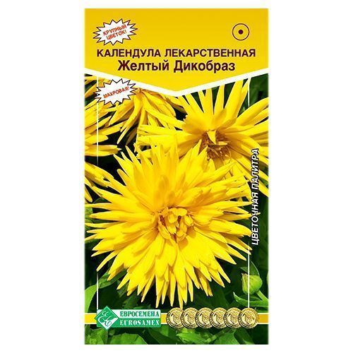 ����  ��������� ������������� ������ �������� ����������, ������ �� 42 ���