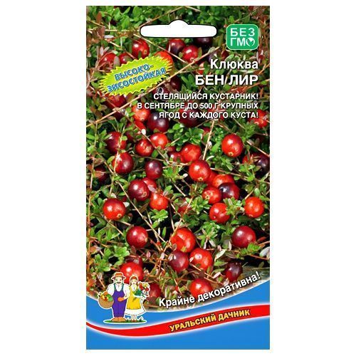 ����  ������ ��� ��� ��������� ������, ������ �� 42 ���