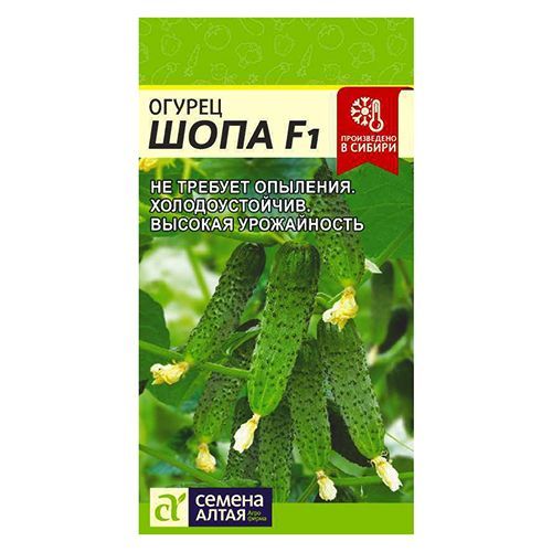 ����  ������ ���� F1 ������ �����, ������ �� 196 ���