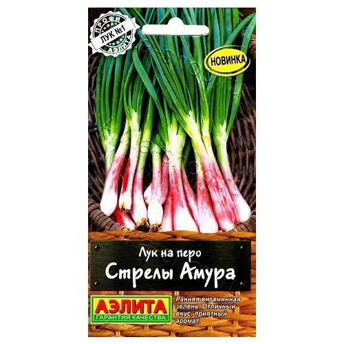 ����  ��� �� ���� ������ ����� ������, ������ �� 24 ���