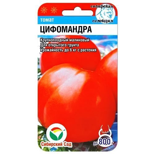 ����  ����� ���������� ��������� ���, ������ �� 42 ���