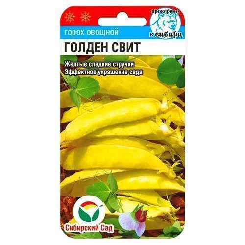 ����  ����� ������ ���� ��������� ���, ������ �� 21 ���