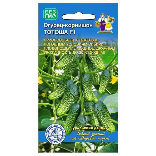 ����  ������ �������� ������ ��������� ������, ������ �� 42 ���