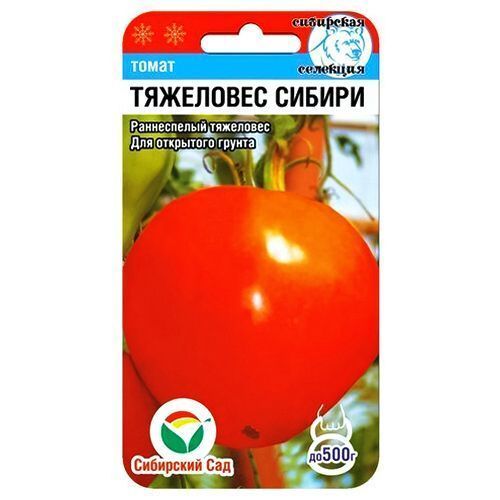 ����  ����� ��������� ������ ��������� ���, ������ �� 42 ���