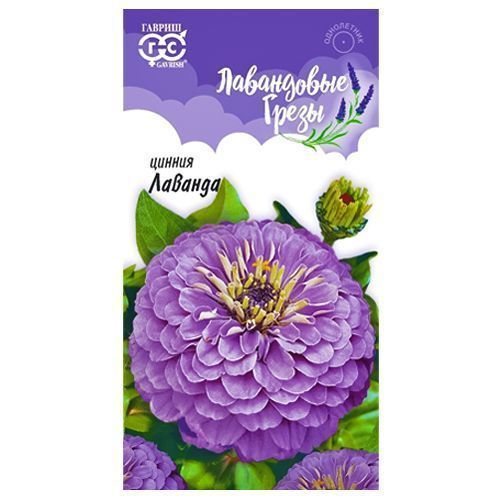 ����  ������ ������� ������, ������ �� 24 ���