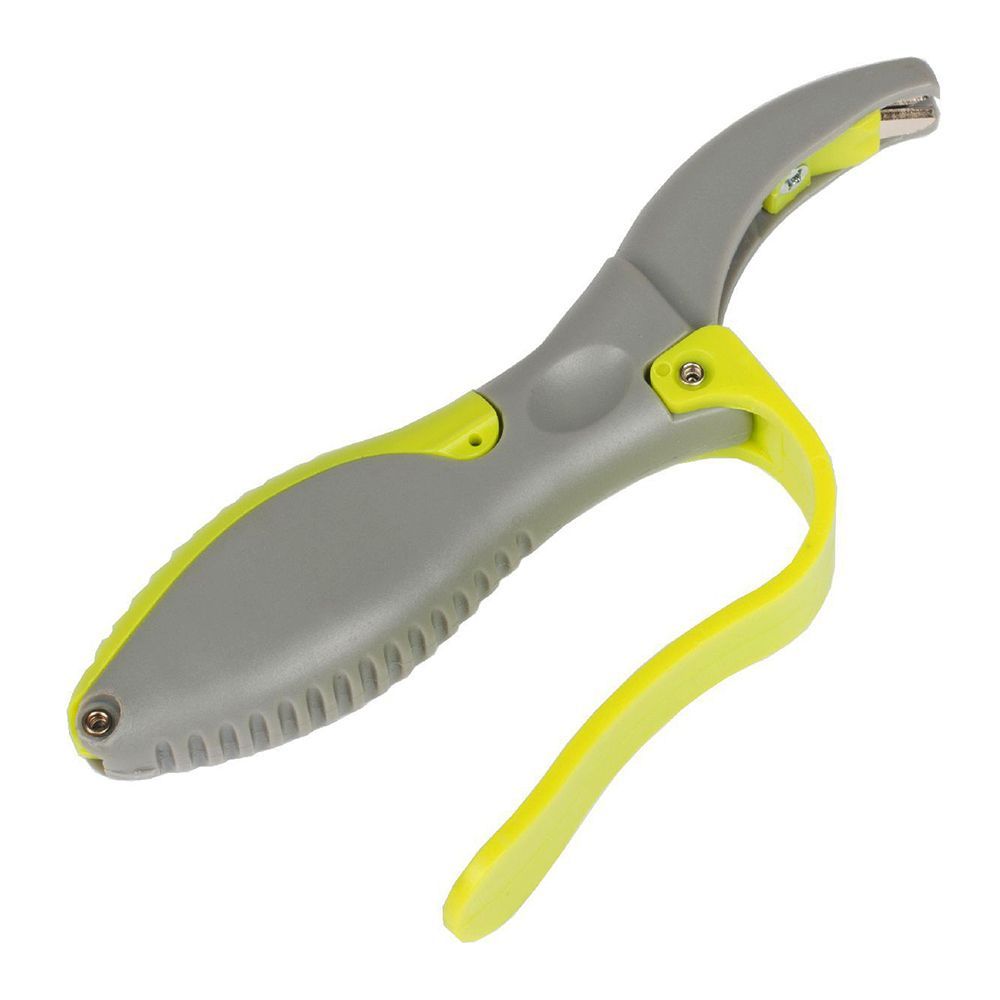 ����  ������� ������������� ��� �������� ��������� Listok, ������ �� 1295 ���