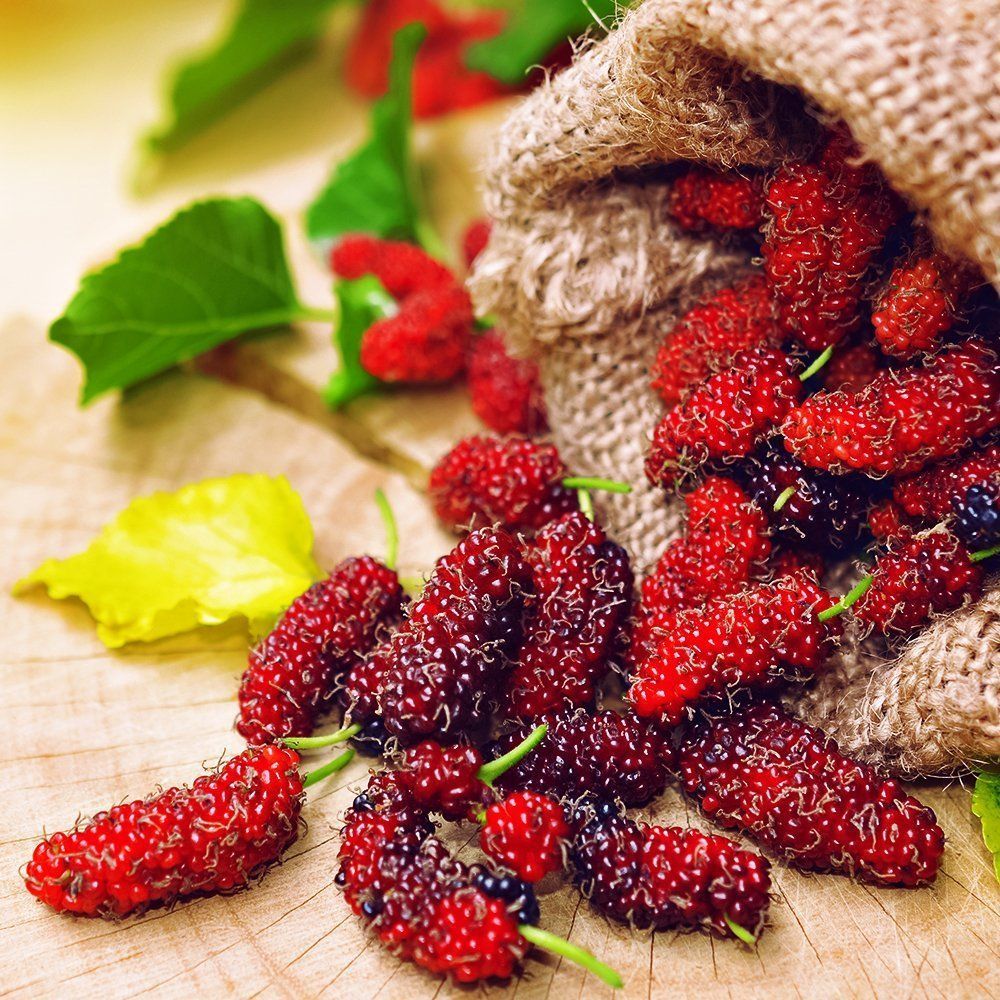 ����  ��������� ��� ������� ������ ���������� �������, ������ �� 429 ���