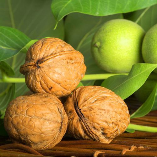 ����  ���� ������� �����, ������ �� 603 ���