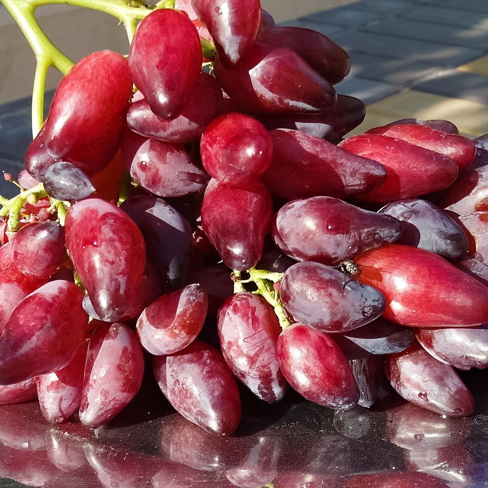 ����  �������� ������ �������� �������, ������ �� 375 ���