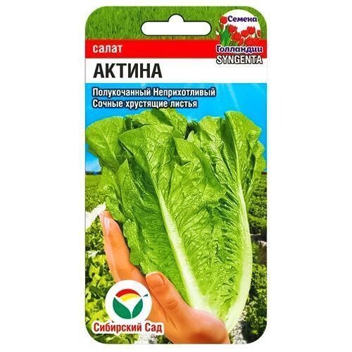 ����  ����� ������ ��������� ���, ������ �� 49 ���