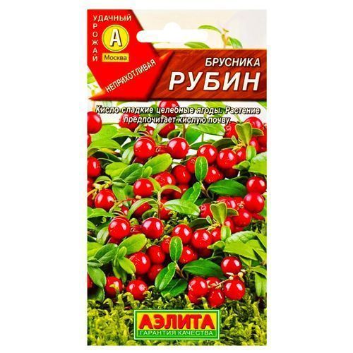 ����  �������� �����, ������ ������, ������ �� 24 ���