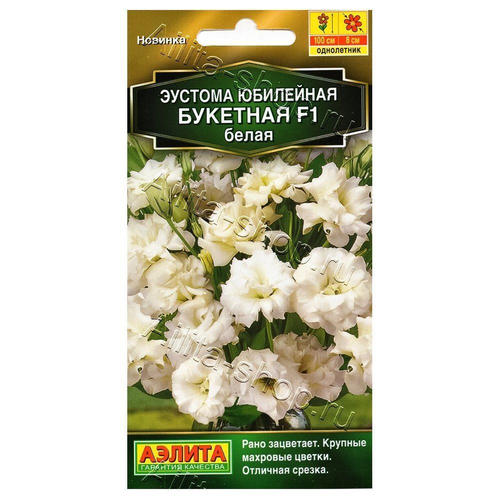 ����  ������� ��������� �������� ����� F1 ������, ������ �� 66 ���