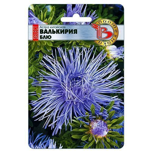 ����  ����� ��������� ��������� ������ ��� ����������, ������ �� 105 ���