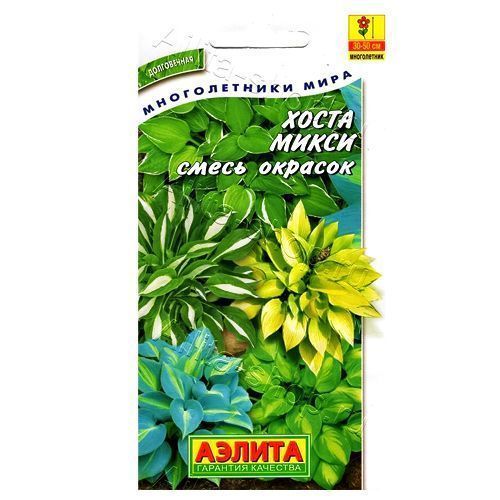 ����  ����� �����, ����� ������� ������, ������ �� 150 ���