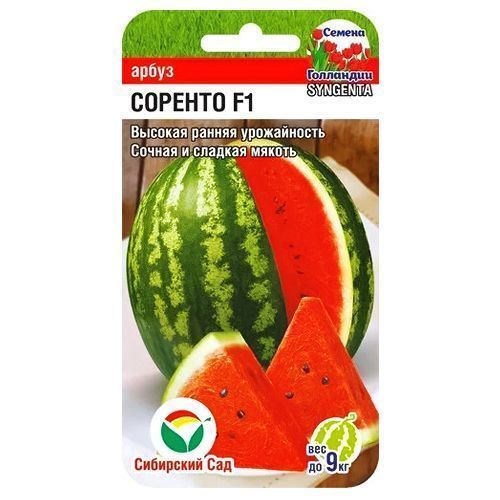 ����  ����� ������� F1 ��������� ���, ������ �� 77 ���