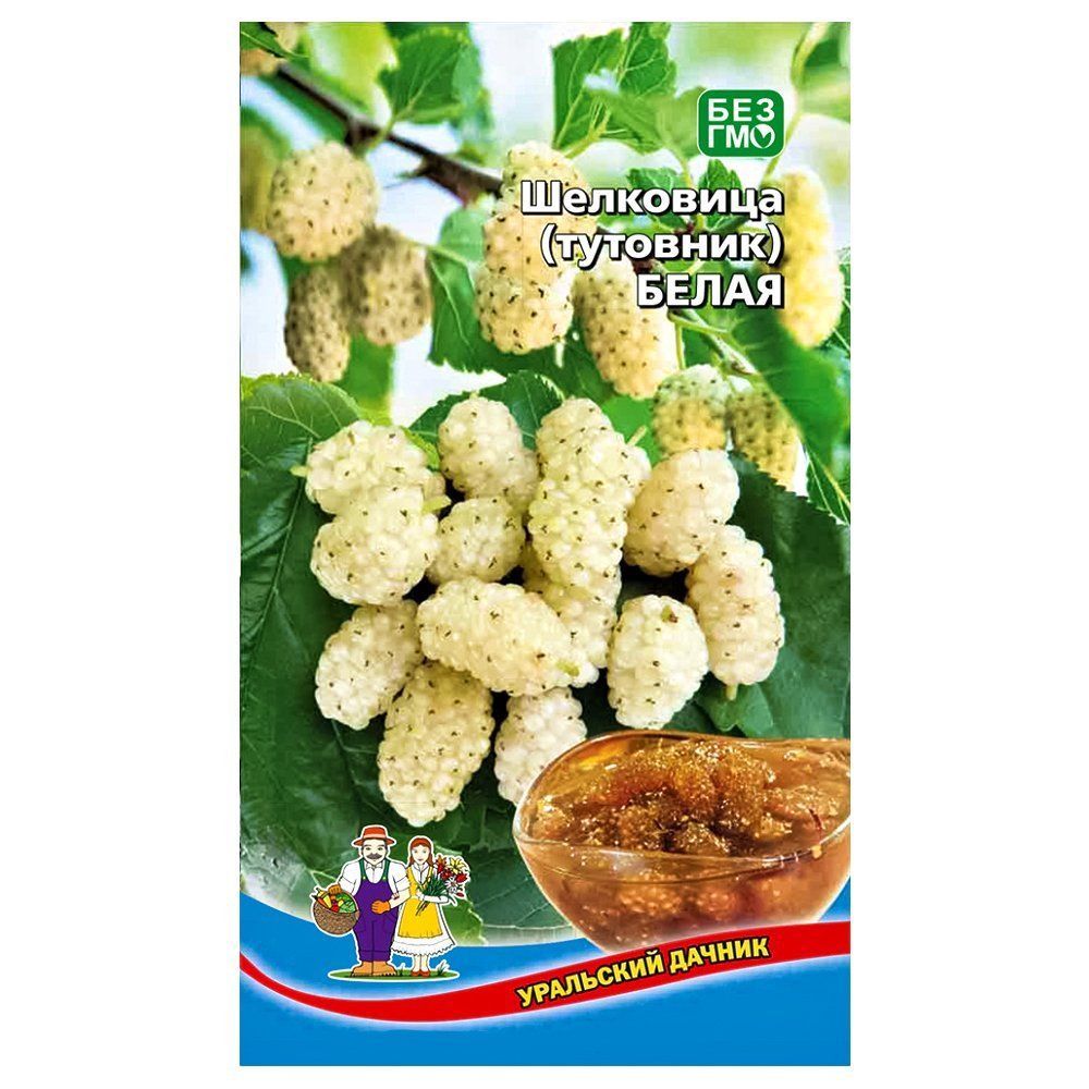 ����  ��������� (��������) ����� ��������� ������, ������ �� 35 ���