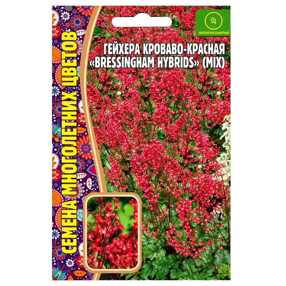 ����  ������� �������-������� Bressingham Hybrids ������ ������, ������ �� 49 ���