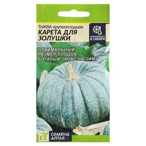 ����  ����� ������ ��� ������� ������ �����, ������ �� 28 ���