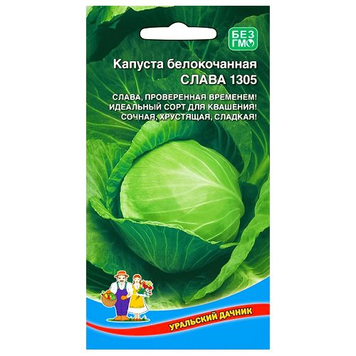 ����  ������� ������������ ����� 1305 ��������� ������, ������ �� 28 ���