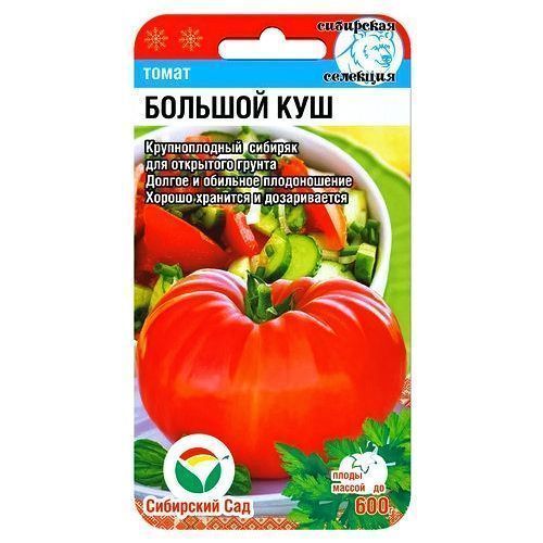 ����  ����� ������� ��� ��������� ���, ������ �� 28 ���