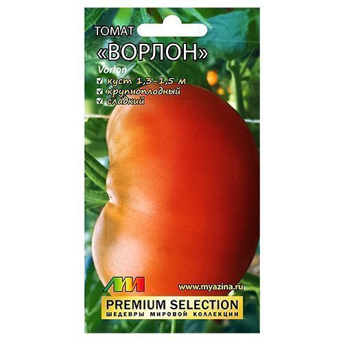 ����  ����� ������ ����������� ������ �.�., ������ �� 22 ���