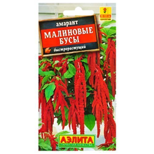 ����  ������� ��������� ���� ������, ������ �� 24 ���