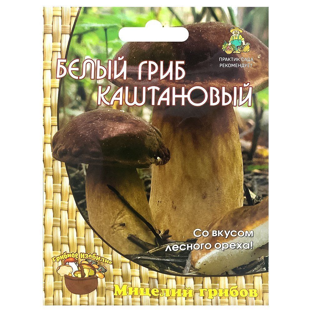 ����  ����� ���� ���������� �����, ������ �� 196 ���