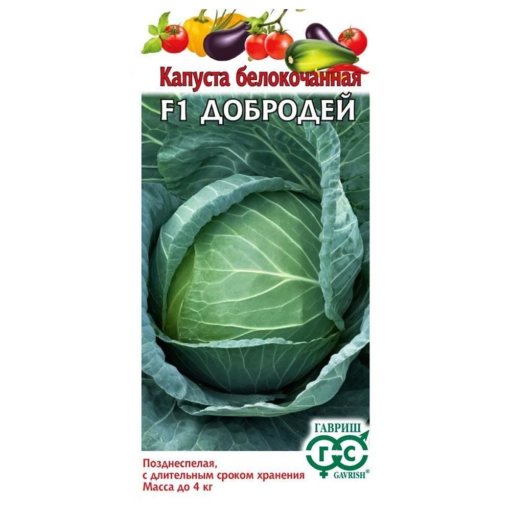 ����  ������� ������������ �������� F1 ������, ������ �� 10 ���