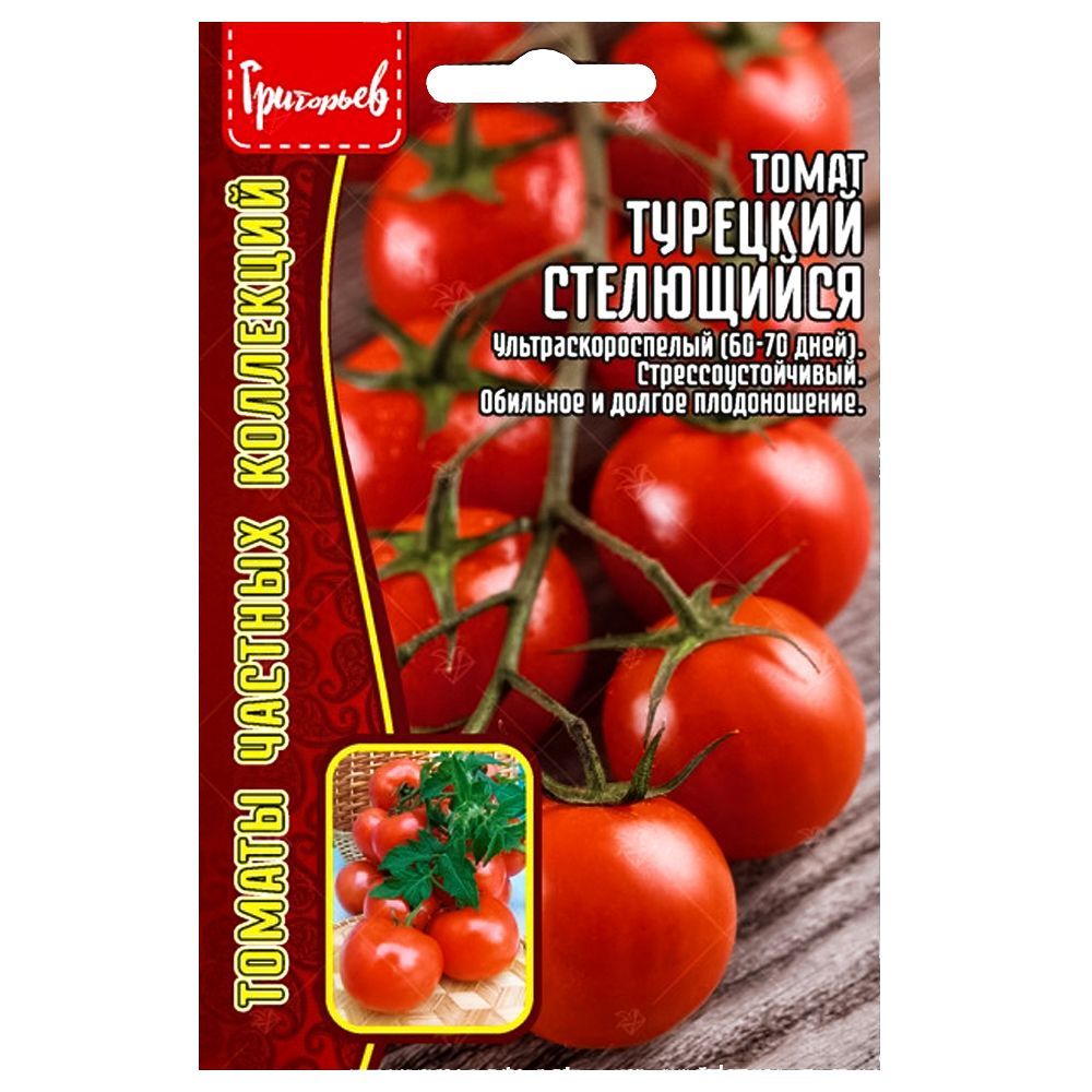 ����  ����� �������� ���������� ������ ������, ������ �� 84 ���